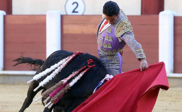 La asociación animalista 'Libera!' pide la máxima sanción para la novillada celebrada en La Higuera