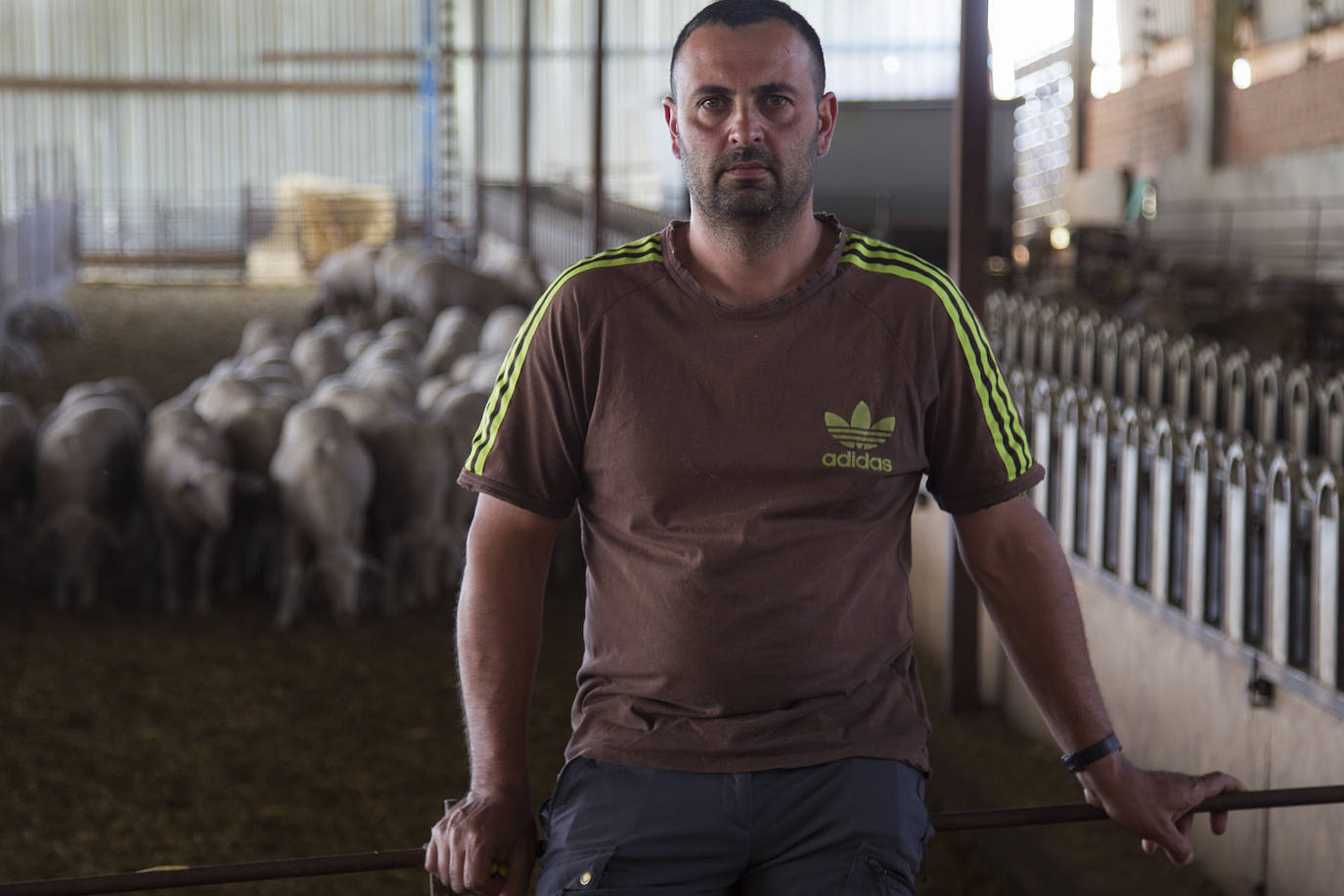 Iván García Valdunciel, ganadero de ovino.