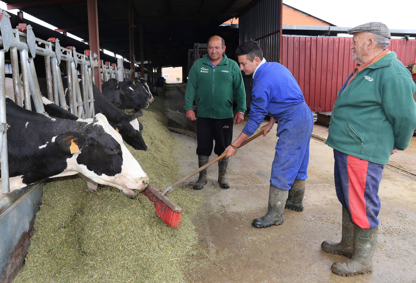 Carmelo Casas, ganadero de vacuno.