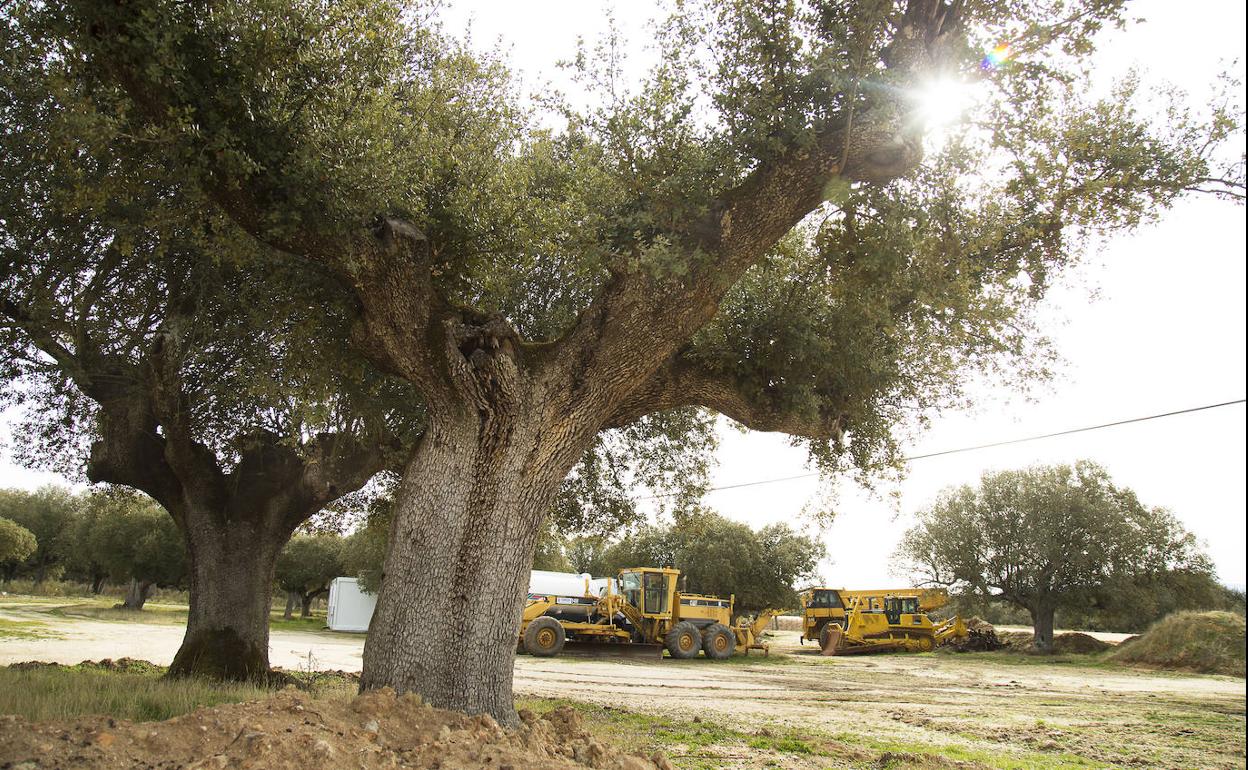 Obras en la zona de explotación minera de Retortillo.