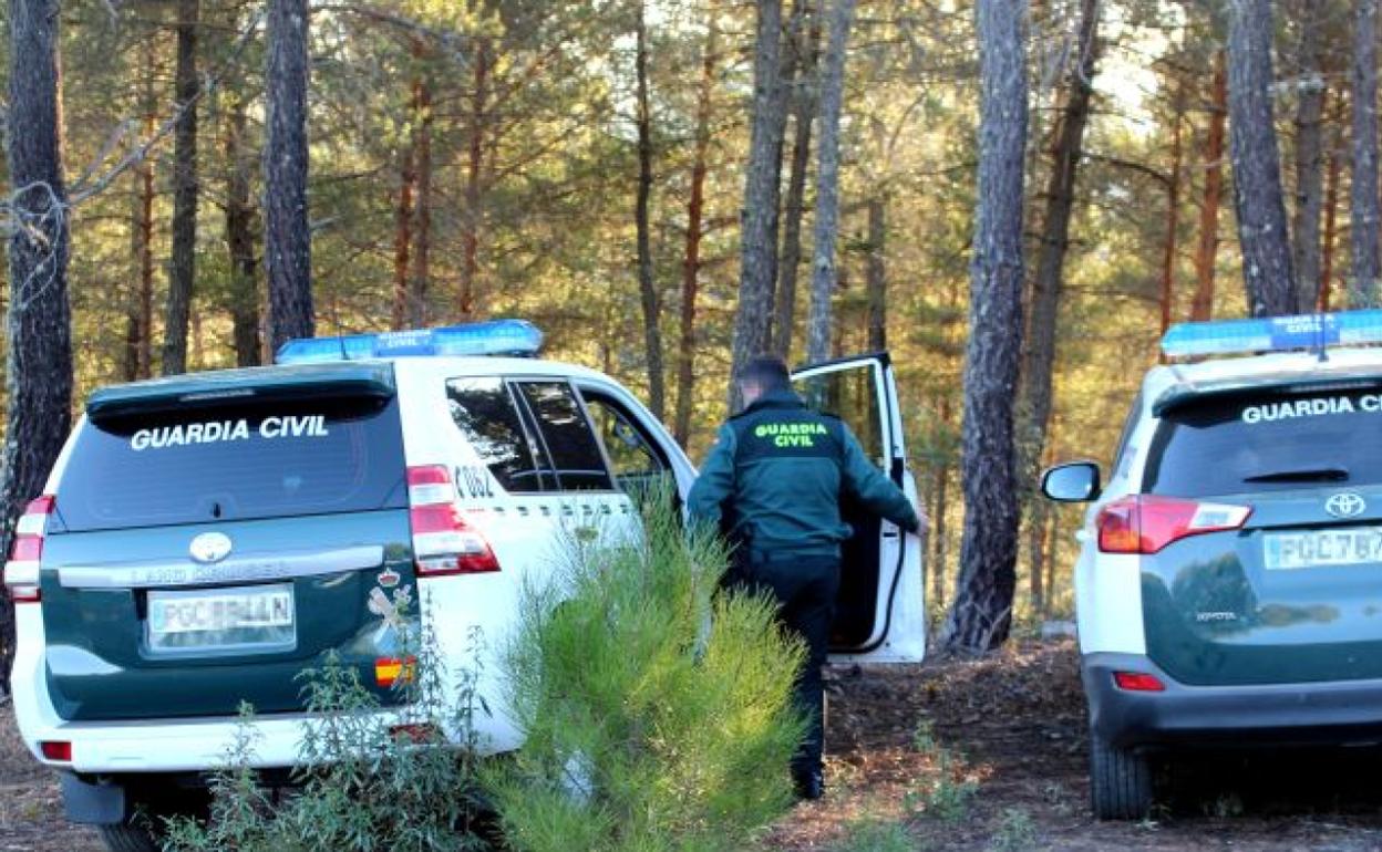Un agente de la Guardia Civil de Zamora. 