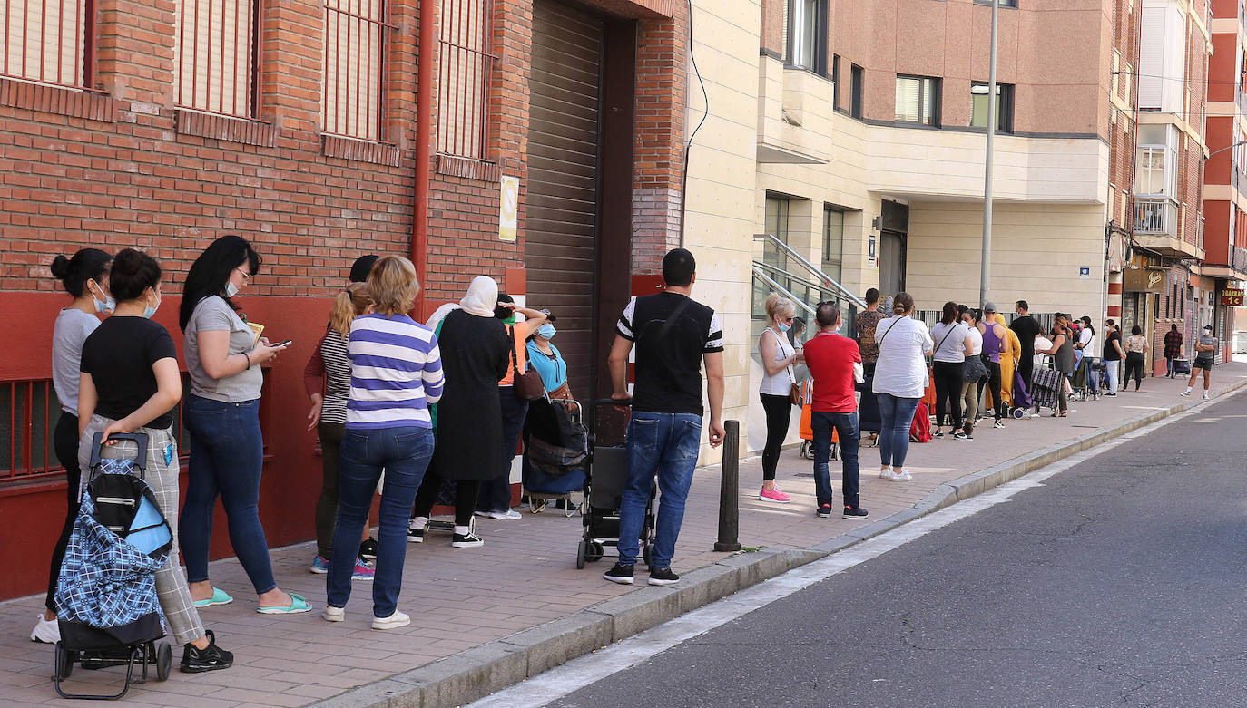 Fotos: Reparto de alimentos de Cruz Roja en Valladolid