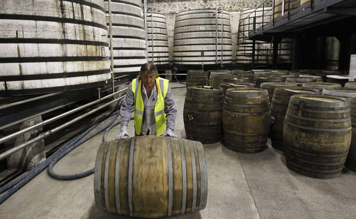 Barricas en el interior de una bodega. 