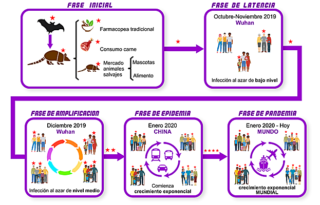 Figura 2. Fases de inicio y expansión de la pandemia.