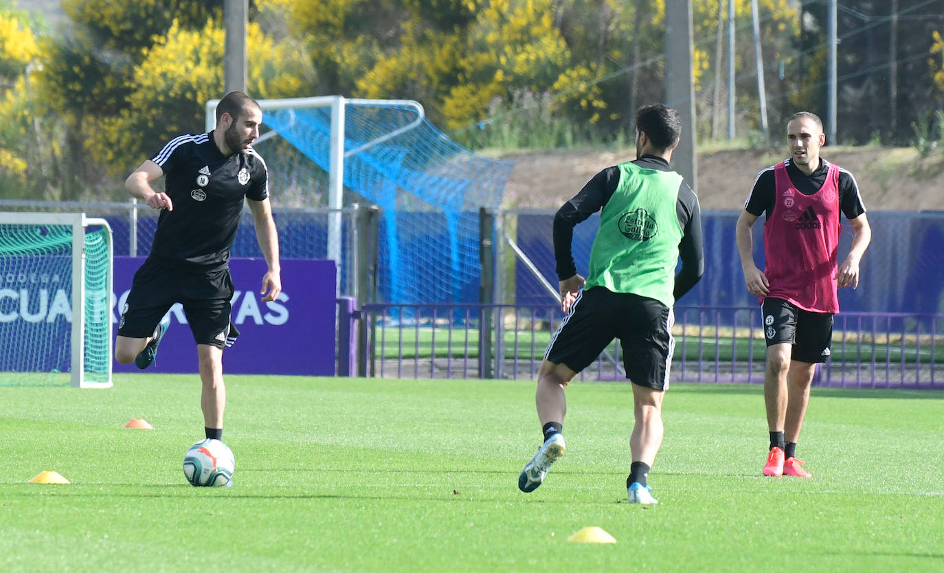 Fotos: El Real Valladolid puede entrenar en grupos de 14