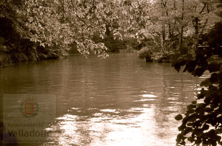 Fotos: Estampas del Valladolid antiguo (XLI): el Campo Grande en 1956