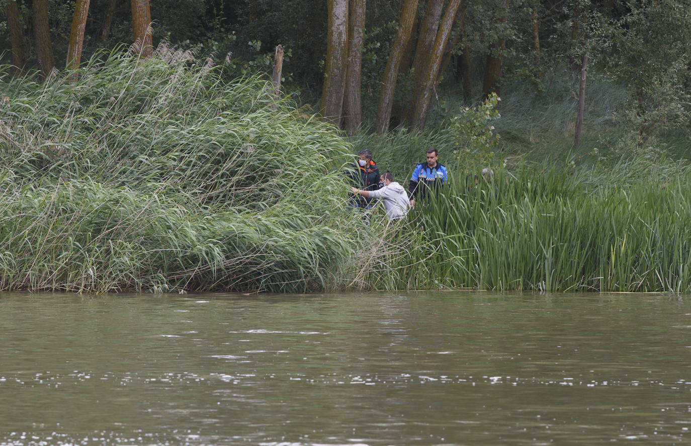 Agentes de la Guardia Civil rastrean desde ayer el río a la altura de Simancas en busca de un cocodrilo de gran tamaño. 