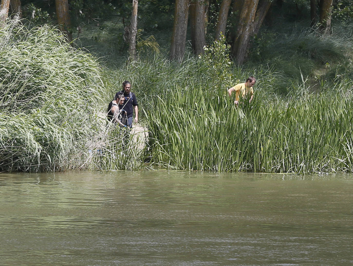 Agentes de la Guardia Civil rastrean desde ayer el río a la altura de Simancas en busca de un cocodrilo de gran tamaño. 