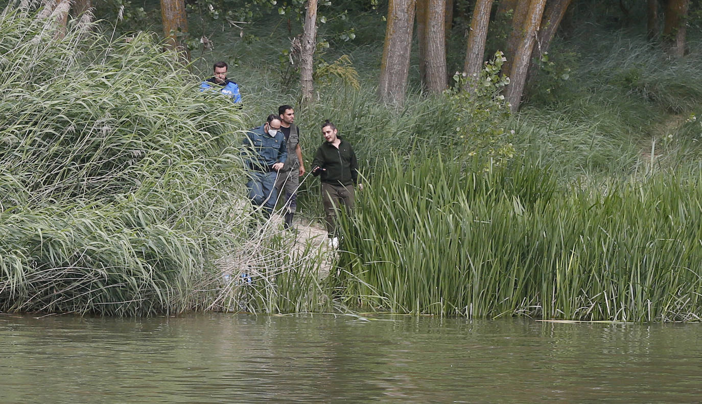 Agentes de la Guardia Civil rastrean desde ayer el río a la altura de Simancas en busca de un cocodrilo de gran tamaño. 