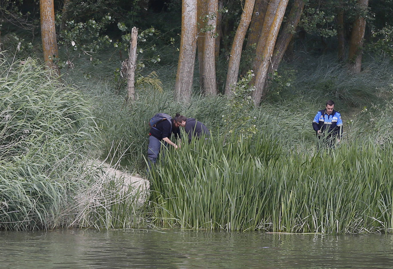 Agentes de la Guardia Civil rastrean desde ayer el río a la altura de Simancas en busca de un cocodrilo de gran tamaño. 