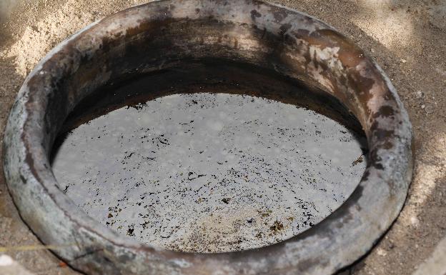 Velo de flor cubriendo la superficie del vino 