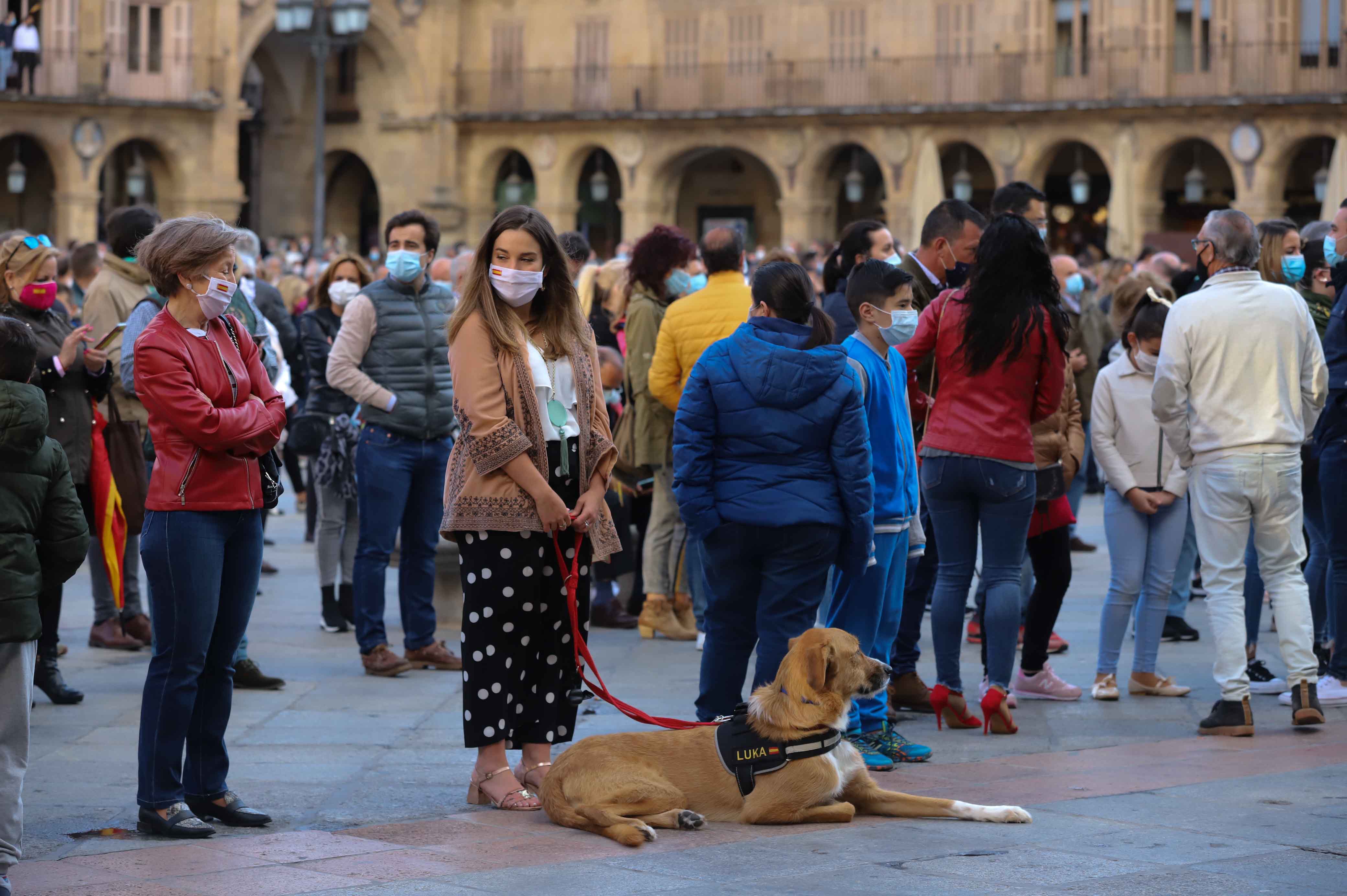 Fotos: El mundo del toro se reivindica en la Plaza Mayor de Salamanca