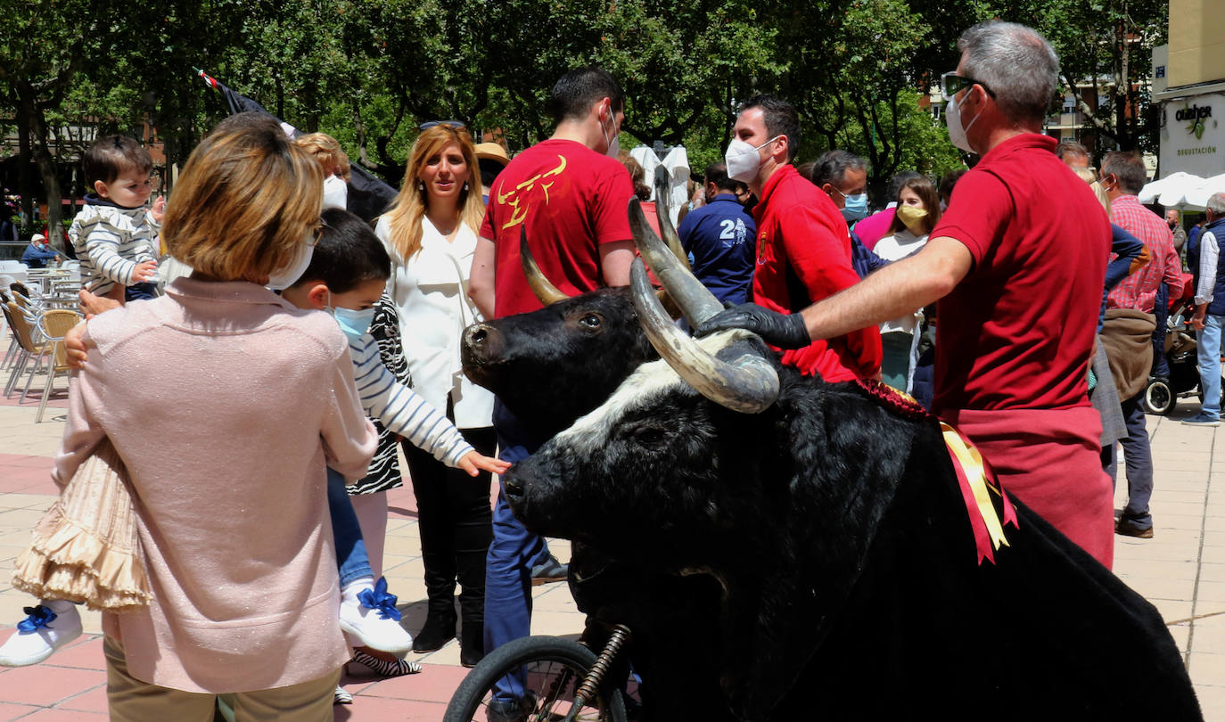 Más de treinta ciudades celebran en España concentraciones para reclamar ayudas y criterios claro para retomar los festejos organizadas por la la plataforma 'También somos cultura'