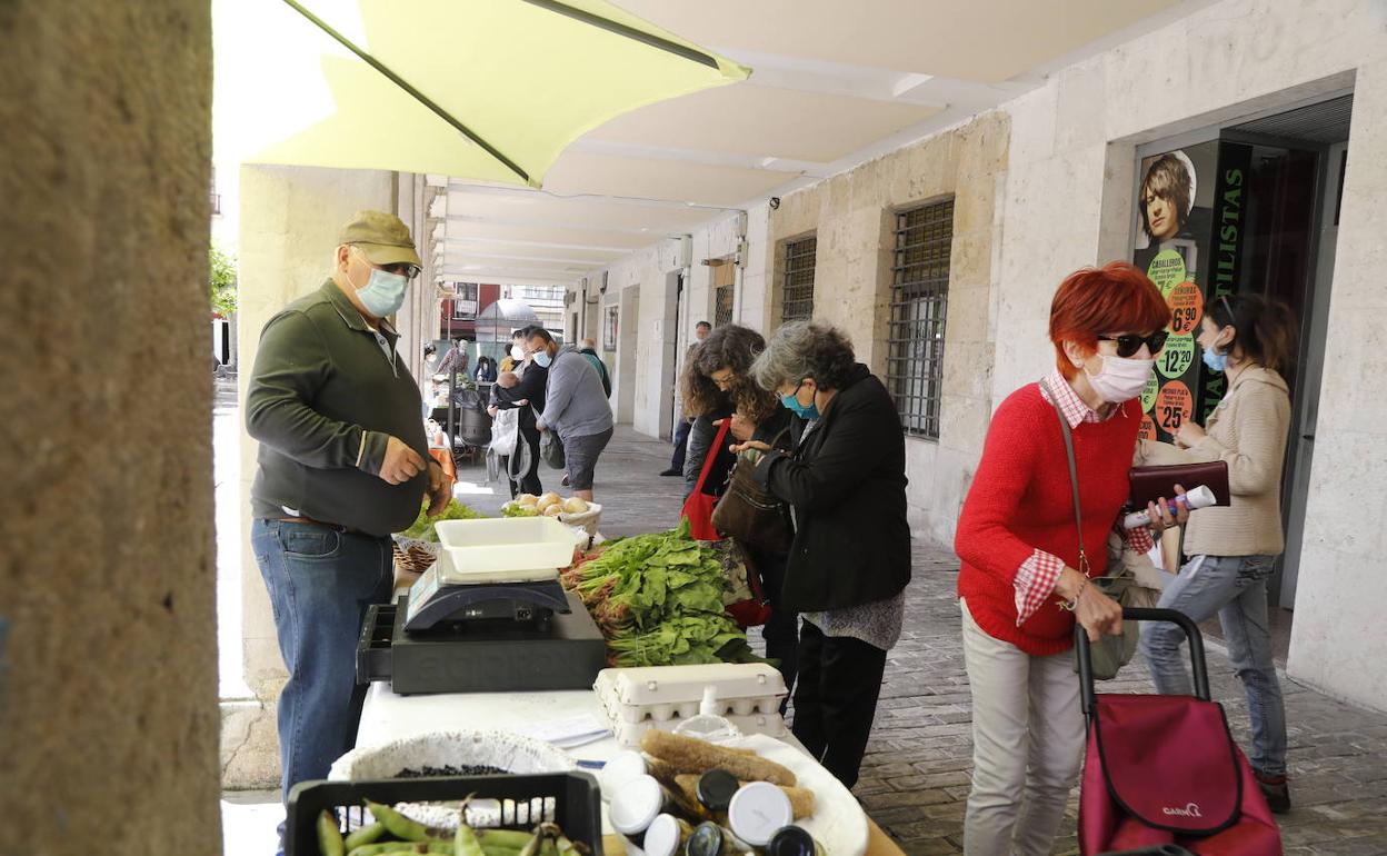 Dos clientas compran en el mercado ecológico de la Plaza Mayor.