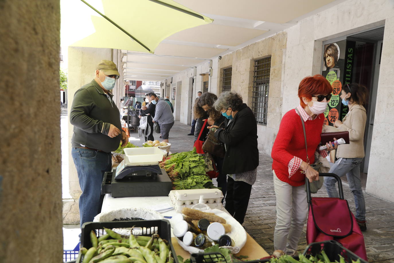 Fotos: El mercado ecológico de Palencia vuelve a la Plaza Mayor