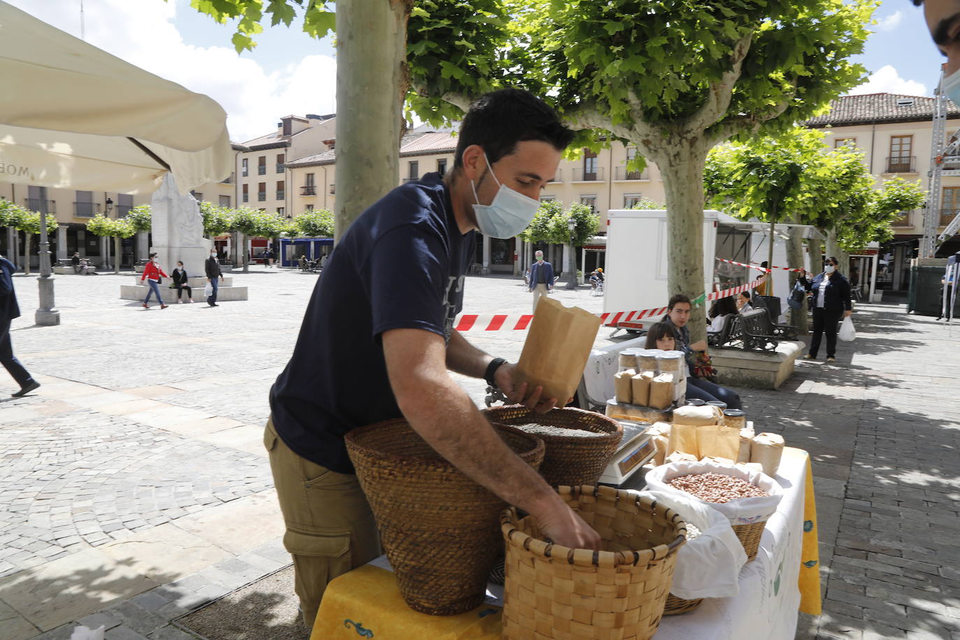 Fotos: El mercado ecológico de Palencia vuelve a la Plaza Mayor