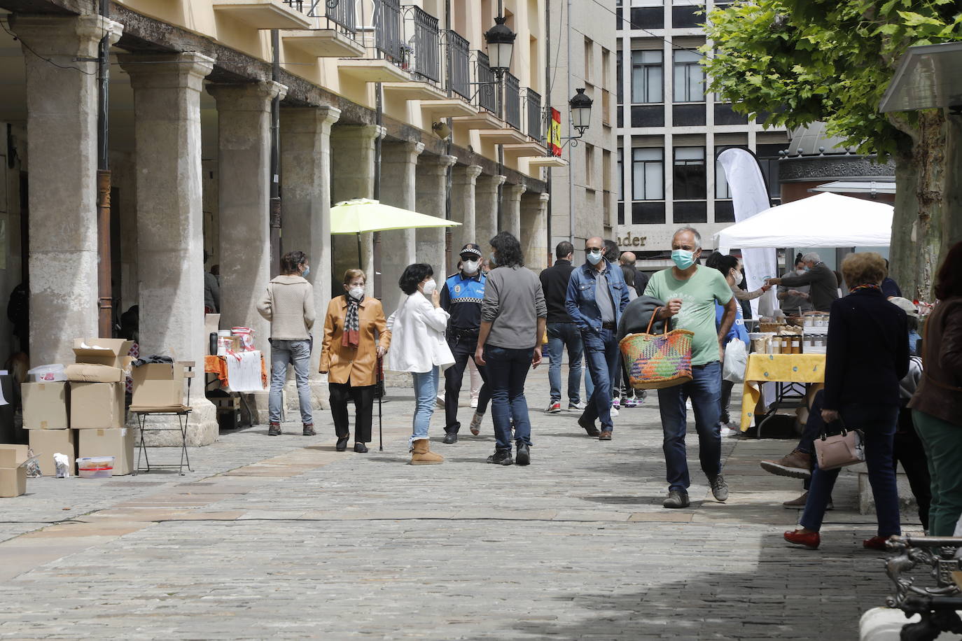 Fotos: El mercado ecológico de Palencia vuelve a la Plaza Mayor