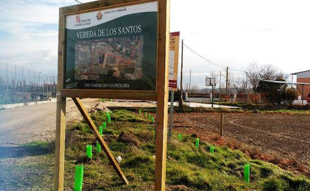 El Ayuntamiento de Valladolid recupera la vereda de Los Santos como espacio para uso de peatones y ciclistas