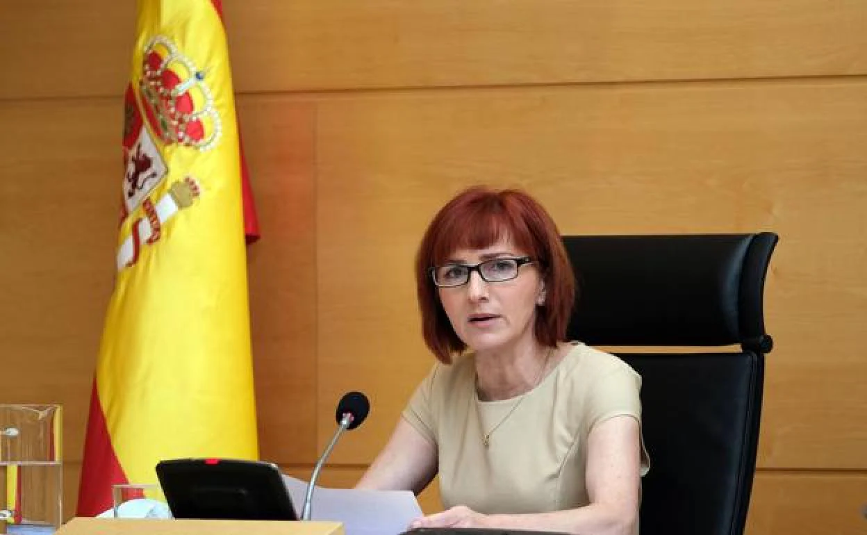 La directora de Profesionales, Mercedes Pérez de Miguel, en su comparecencia en las Cortes. 