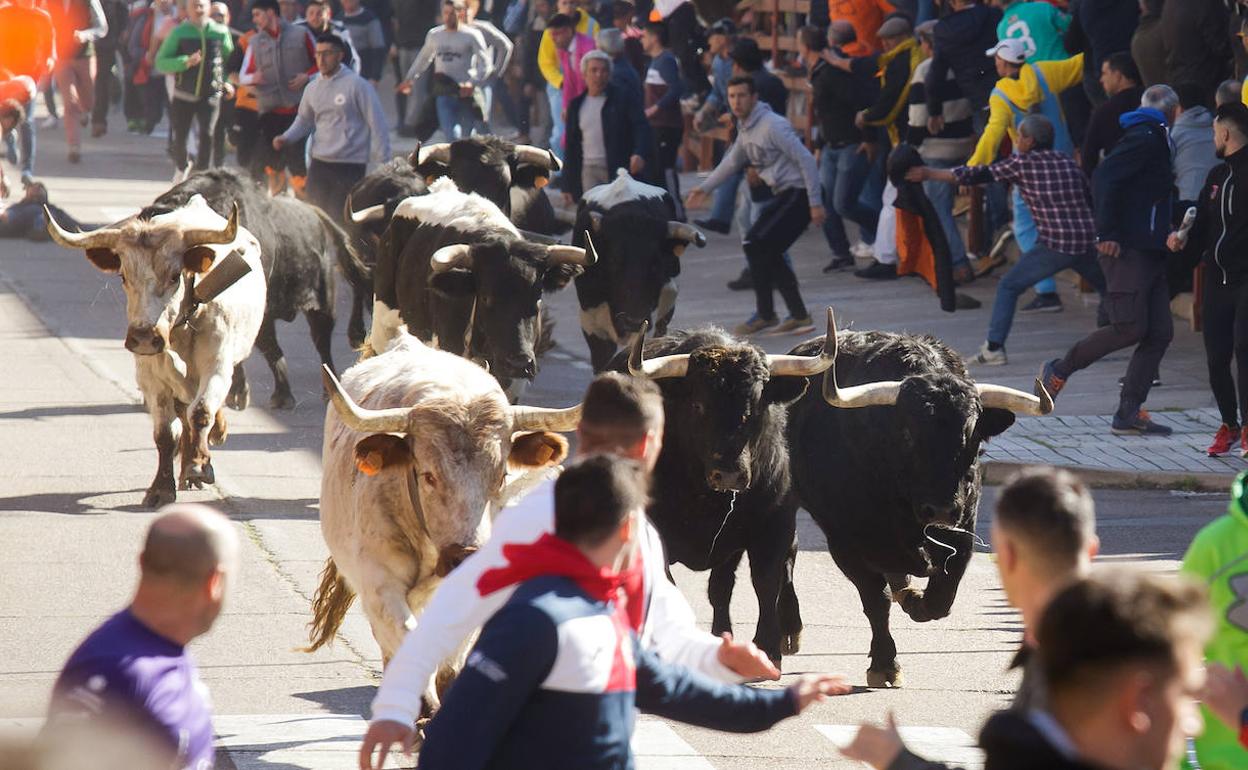 Encierro celebrado el Sábado de Carnaval de 2020.