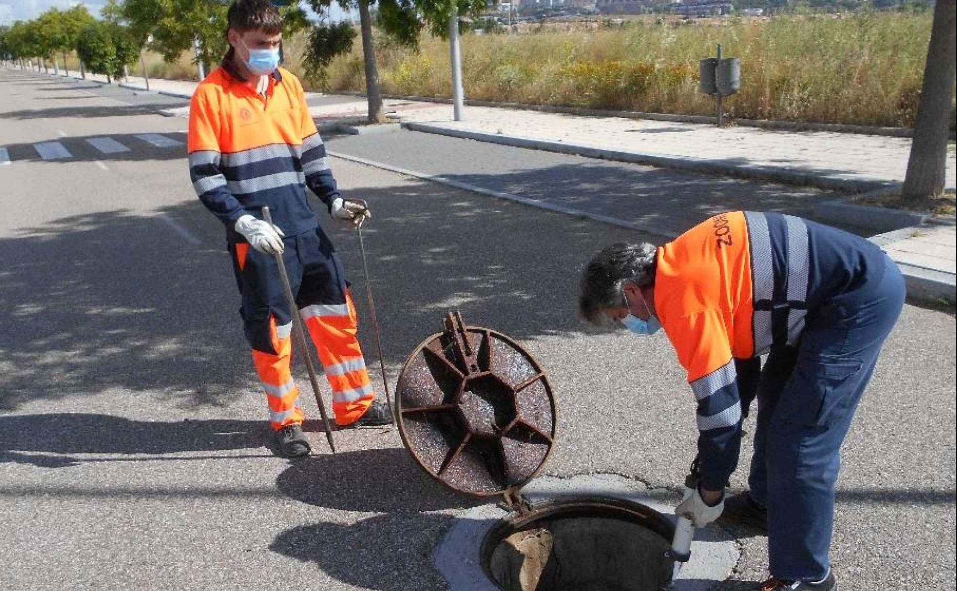 Las plagas no entienden de confinamiento