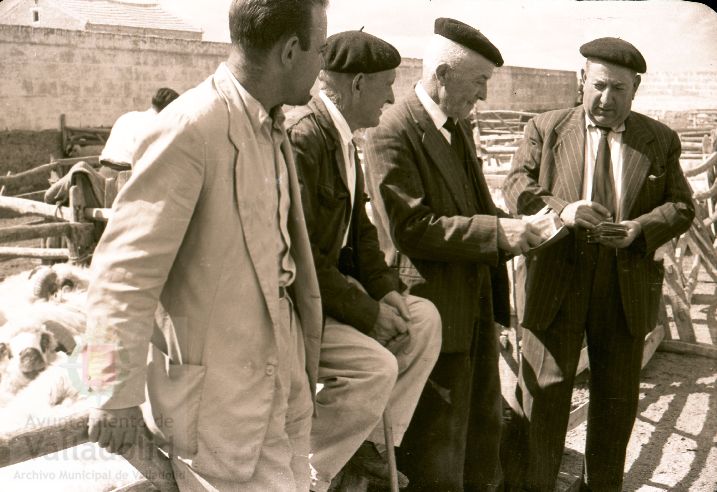 Fotos: Estampas del Valladolid antiguo (XLV): así eran las ferias de ganado de Medina del Campo en los años 50