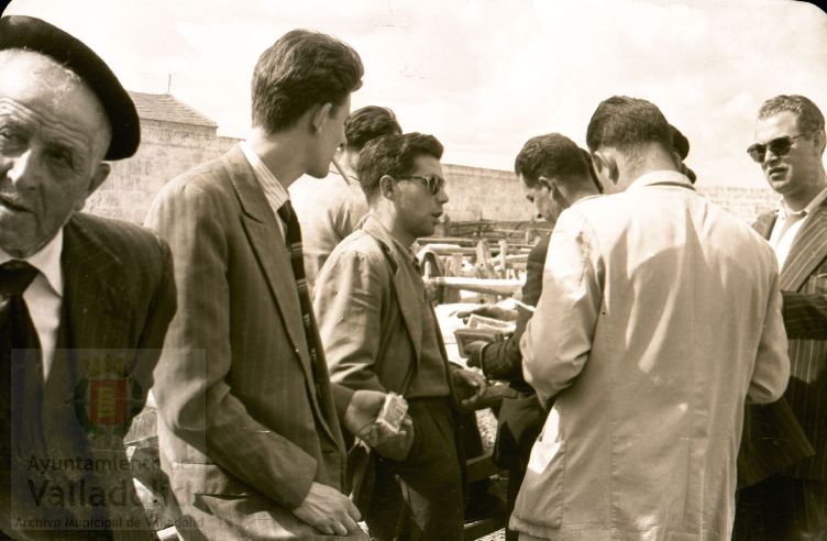 Fotos: Estampas del Valladolid antiguo (XLV): así eran las ferias de ganado de Medina del Campo en los años 50