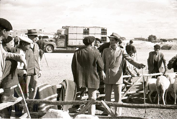 Fotos: Estampas del Valladolid antiguo (XLV): así eran las ferias de ganado de Medina del Campo en los años 50