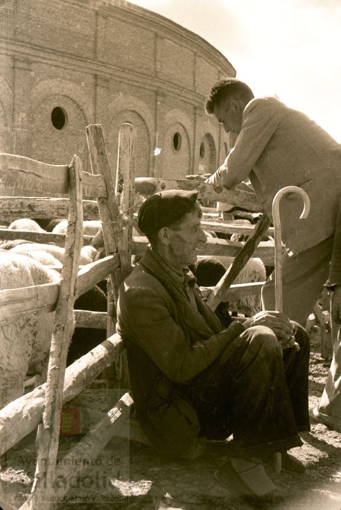 Fotos: Estampas del Valladolid antiguo (XLV): así eran las ferias de ganado de Medina del Campo en los años 50