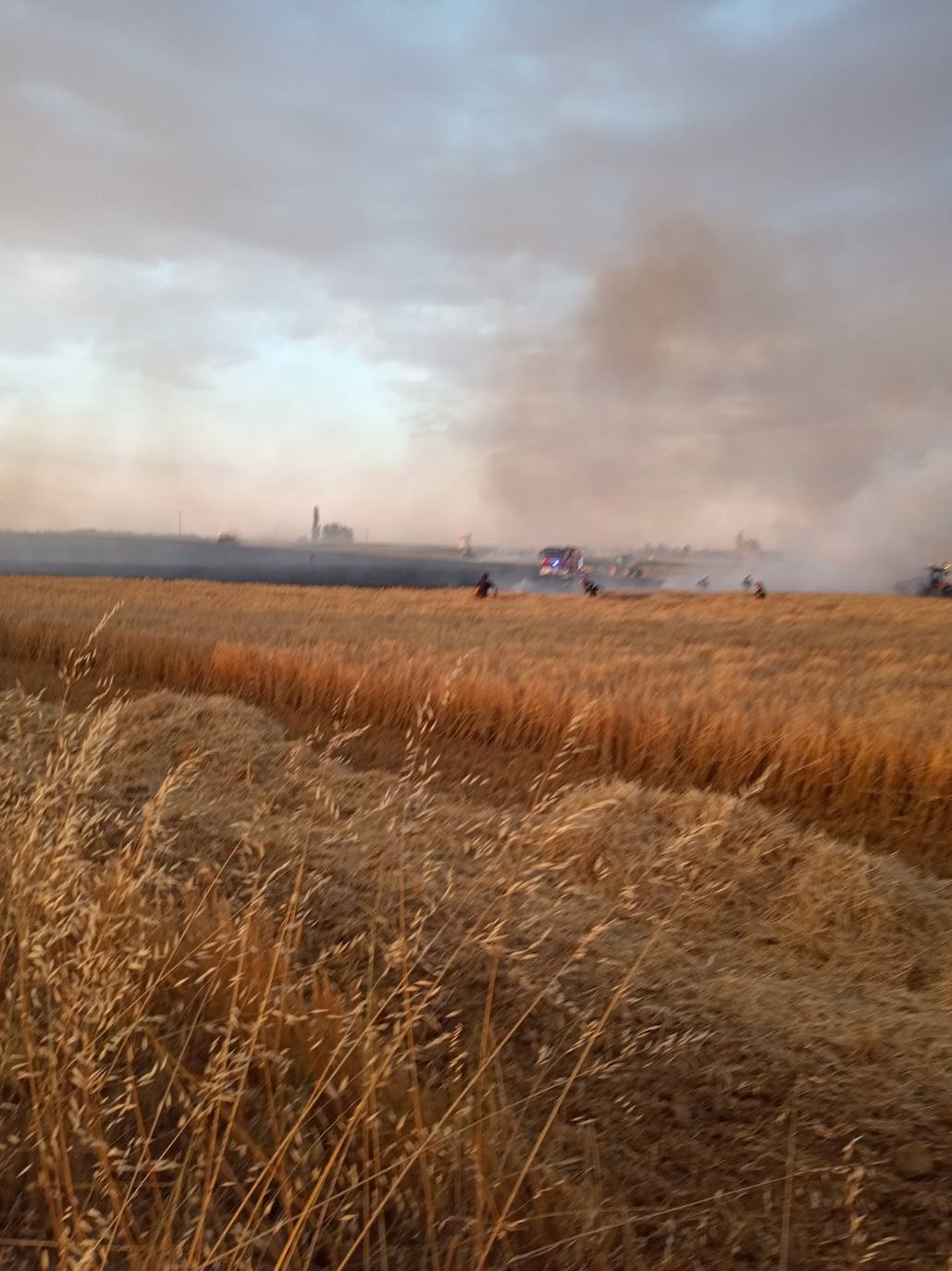 Las llamas, que se extendieron rápido, fueron controladas por bomberos y vecinos.