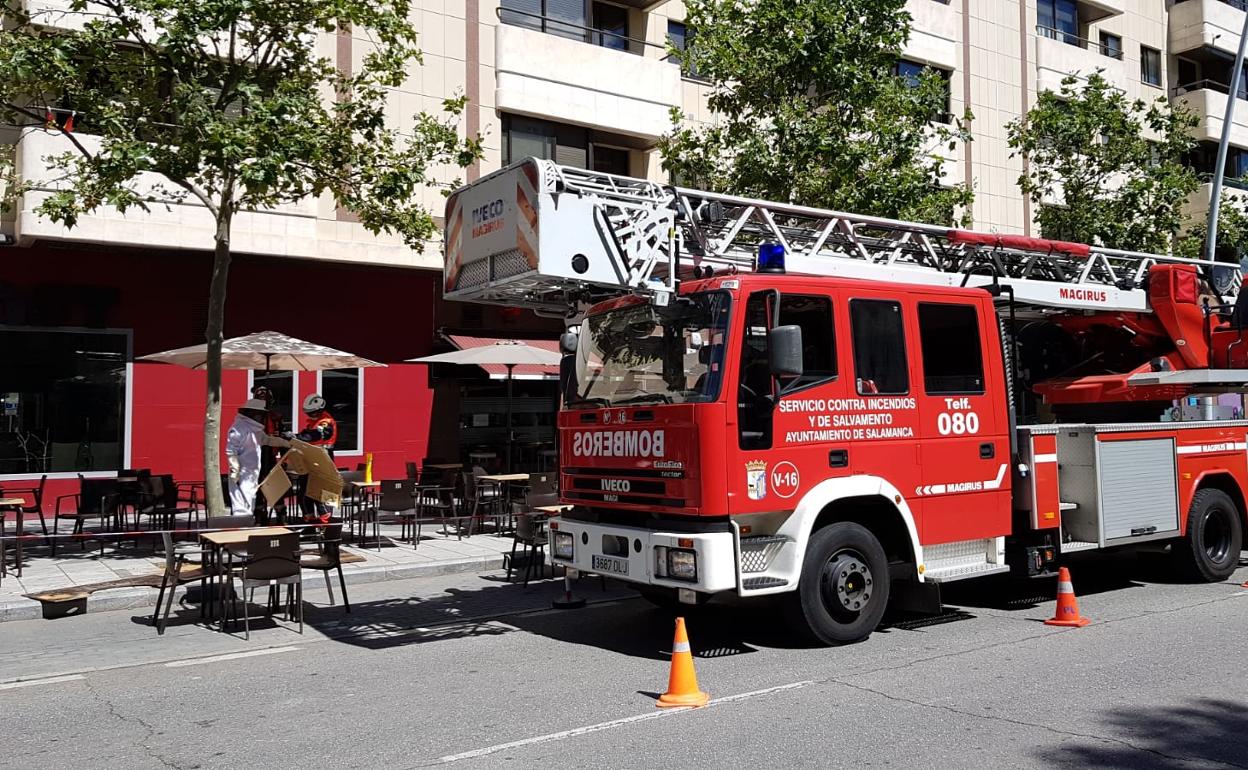 Los bomberos, preparados con trajes de protección, proceden a eliminar el nido de avispas. 