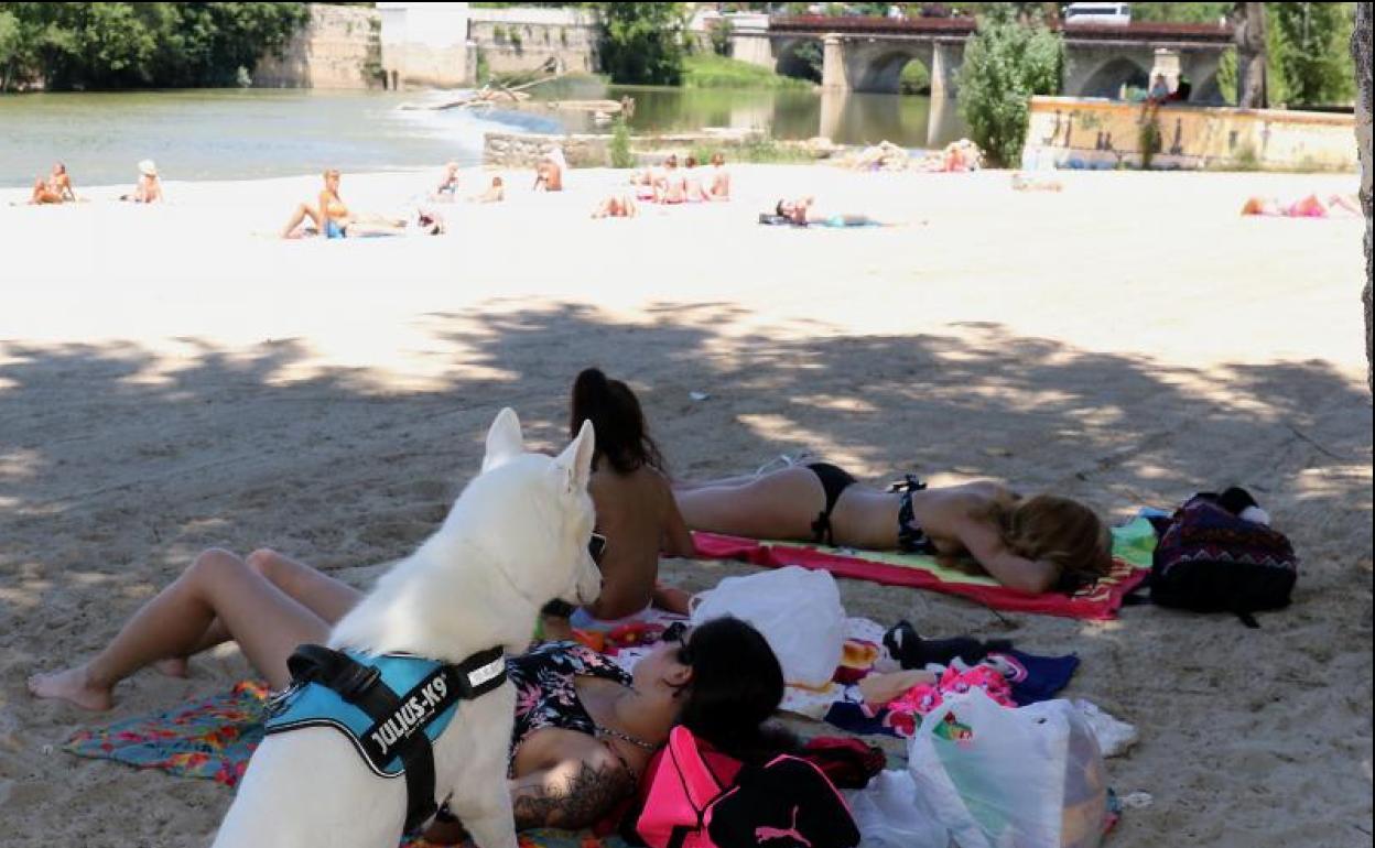 Una familia con su mascota, a la sombra en la playa de Las Moreras.