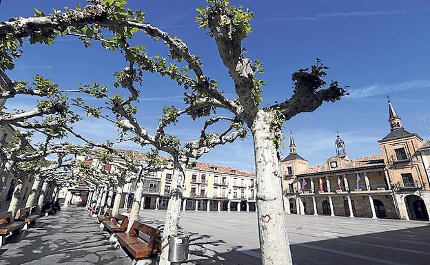 Imagen principal - Arriba, Plaza Mayor y Ayuntamiento del Burgo de Osma; Hospital de San Agustín y a la derecha, Torre de la catedral del Burgo de Osma., 