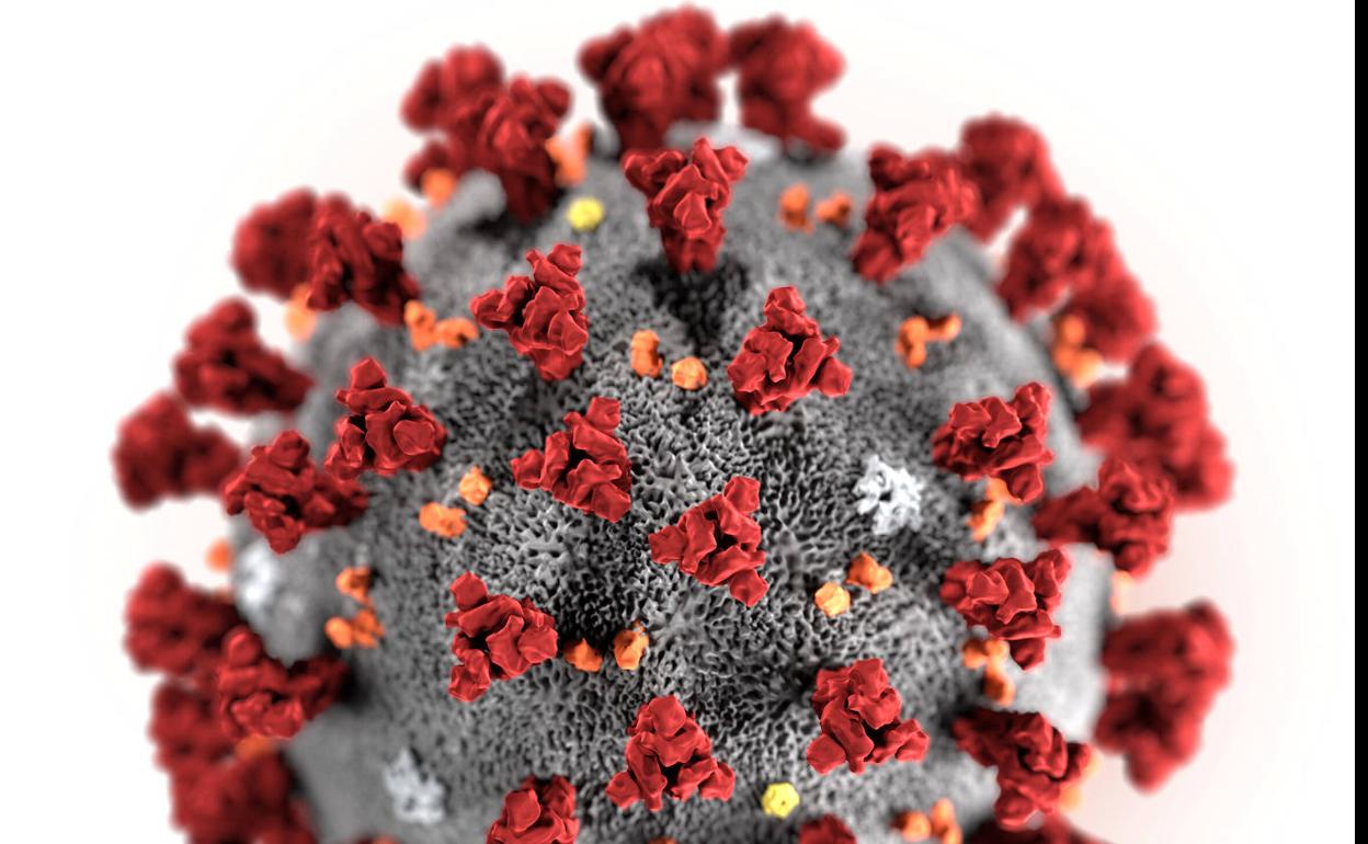 Nuevas lecciones víricas