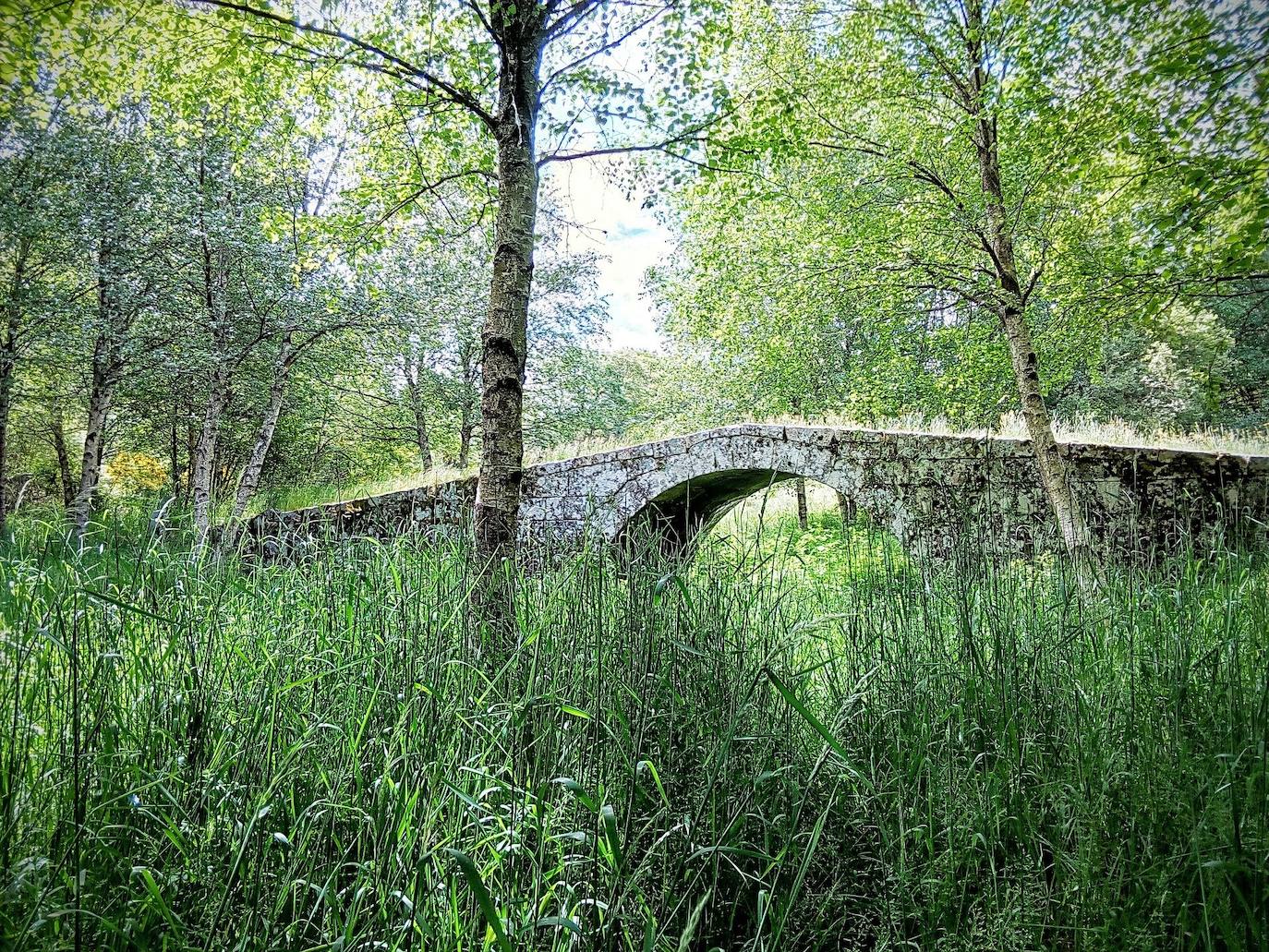 Entre Lugo y Orense se encuentra la Ribeira Sacra, una bellísima tierra llena de monasterios, viñedos y ríos | Es la única candidata española a ser incluida en la lista de Patrimonio de la Humanidad en 2021