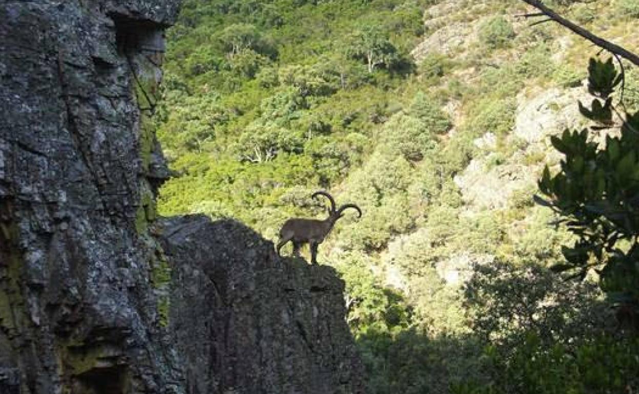 Parque de Las Batuecas.