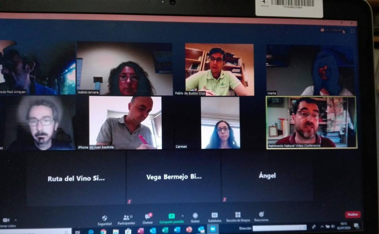 Reunión de los miembros del grupo de trabajo que se celebró ayer de forma telemática. 