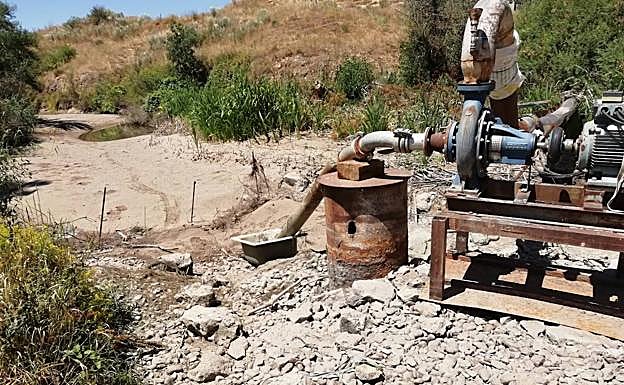 El cauce del río Adaja, seco a su paso por Matapozuelos. 