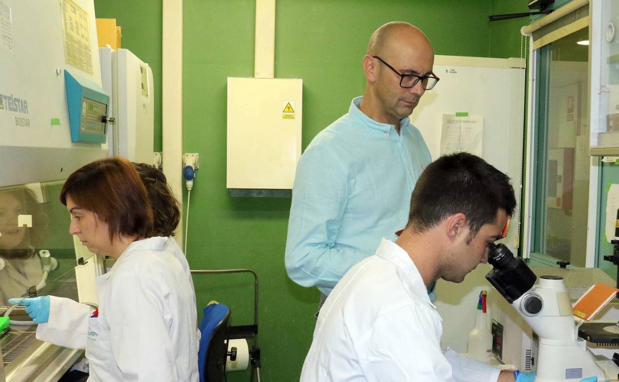 Investigadores de la Universidad de Valladolid. 
