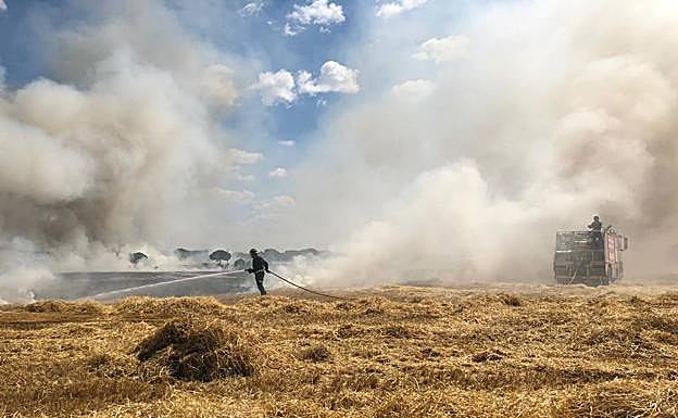 Los bomberos trabajan en la extinción del fuego en una tierra ya cosechada de Peñafiel. 