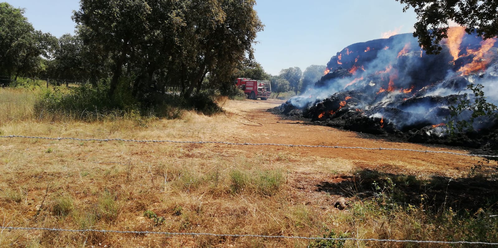 Fotos: Activo un incendio en la localidad vallisoletana de Villalba de los Alcores