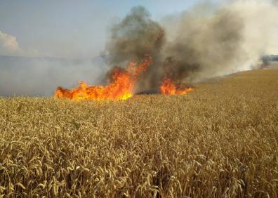 Imagen secundaria 1 - Los servicios de extinción tratan de apagar el fuego.