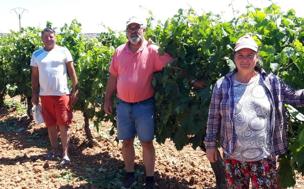 «Sin los extranjeros sería imposible atender el campo»