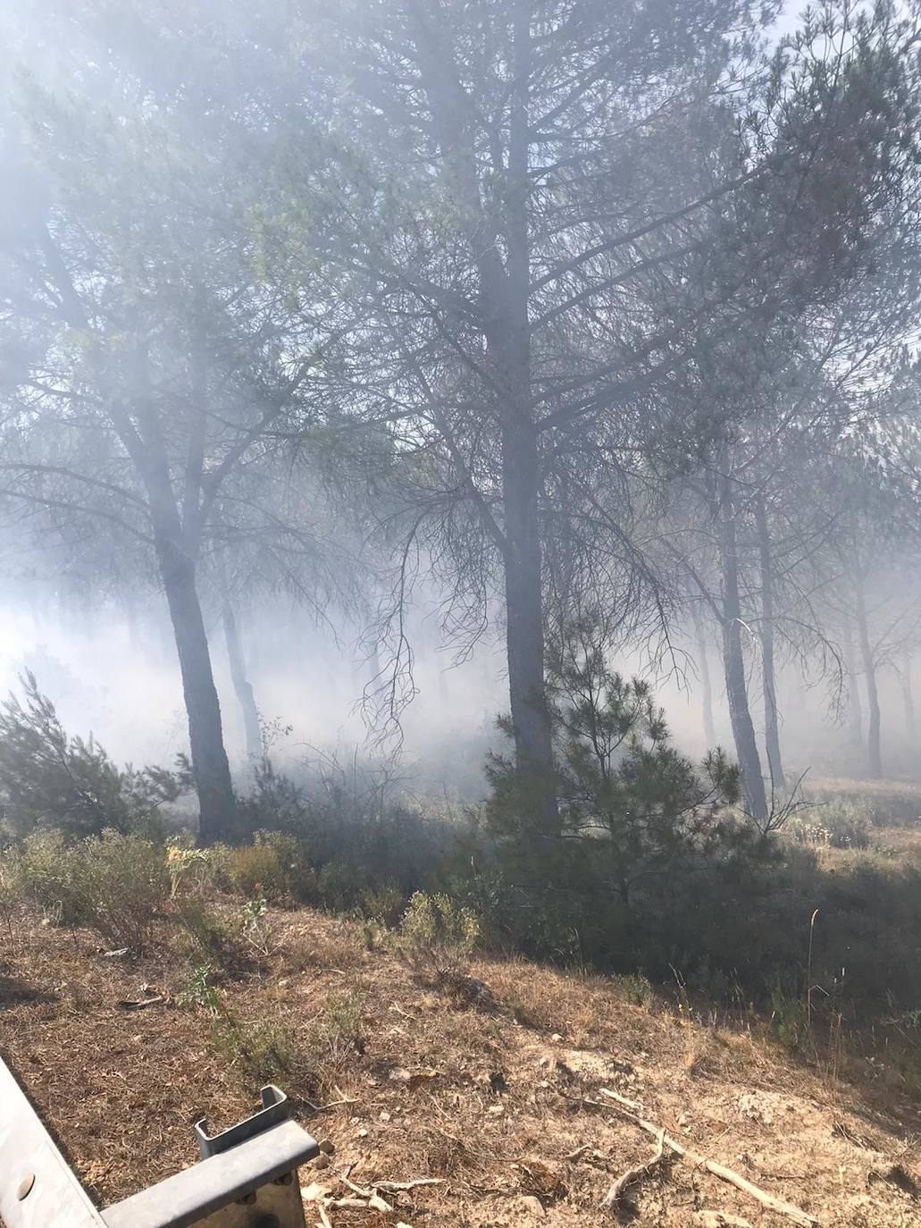 Arde parte del monte de Villagarcía de Campos. 