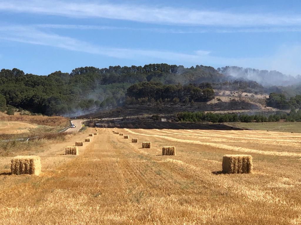 Arde parte del monte de Villagarcía de Campos. 