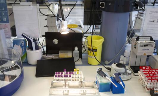 Muestras y material del laboratorio de Microbiología del Río Hortega. 