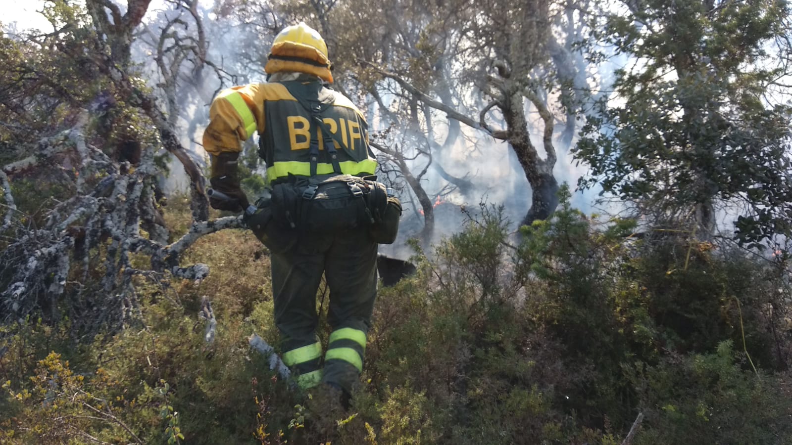 80 efectivos luchan contra el incendio con un gran despligue de aviones y maquinaria