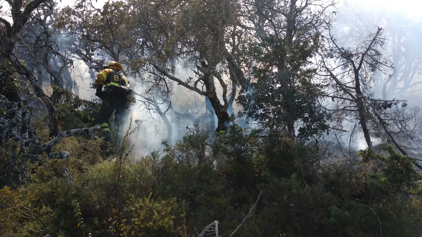 80 efectivos luchan contra el incendio con un gran despligue de aviones y maquinaria