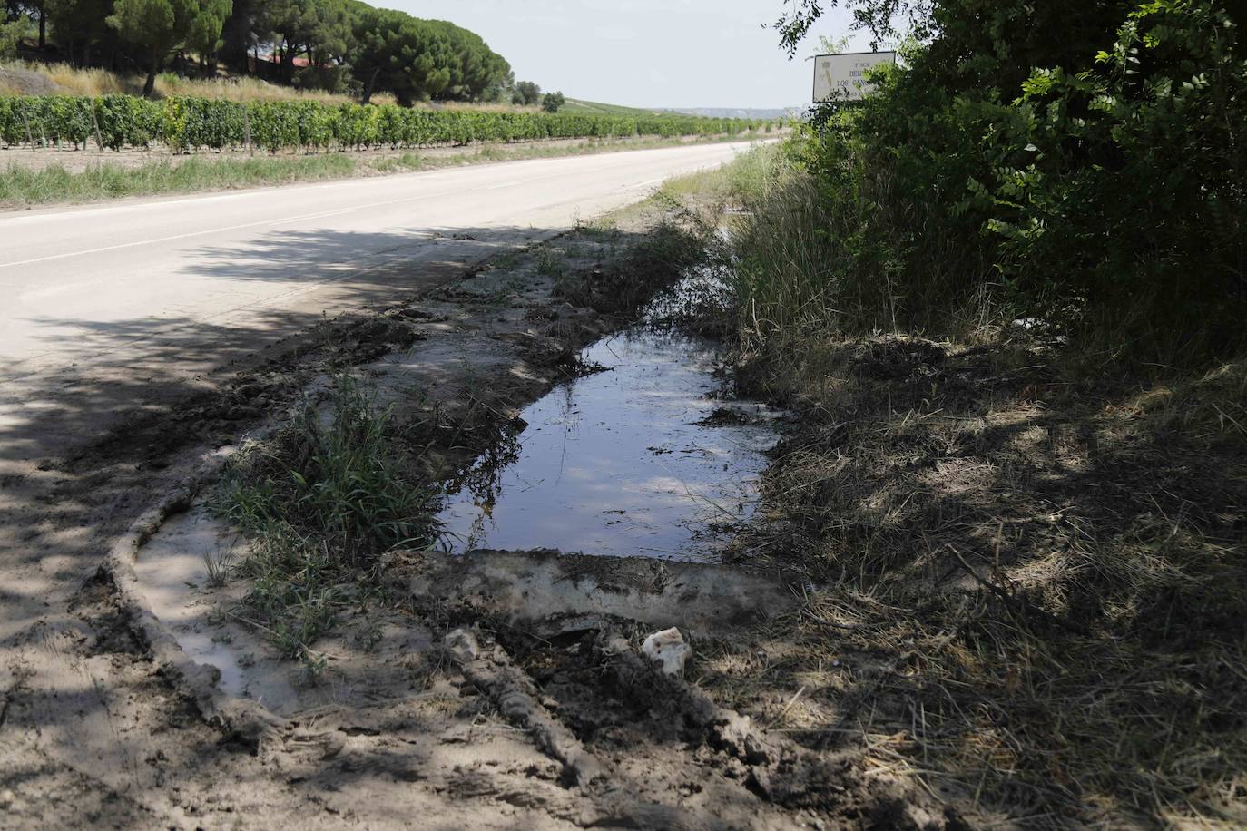 Fotos: Restos de barro en la carretera Pesquera de Duero-Renedo de Esgueva