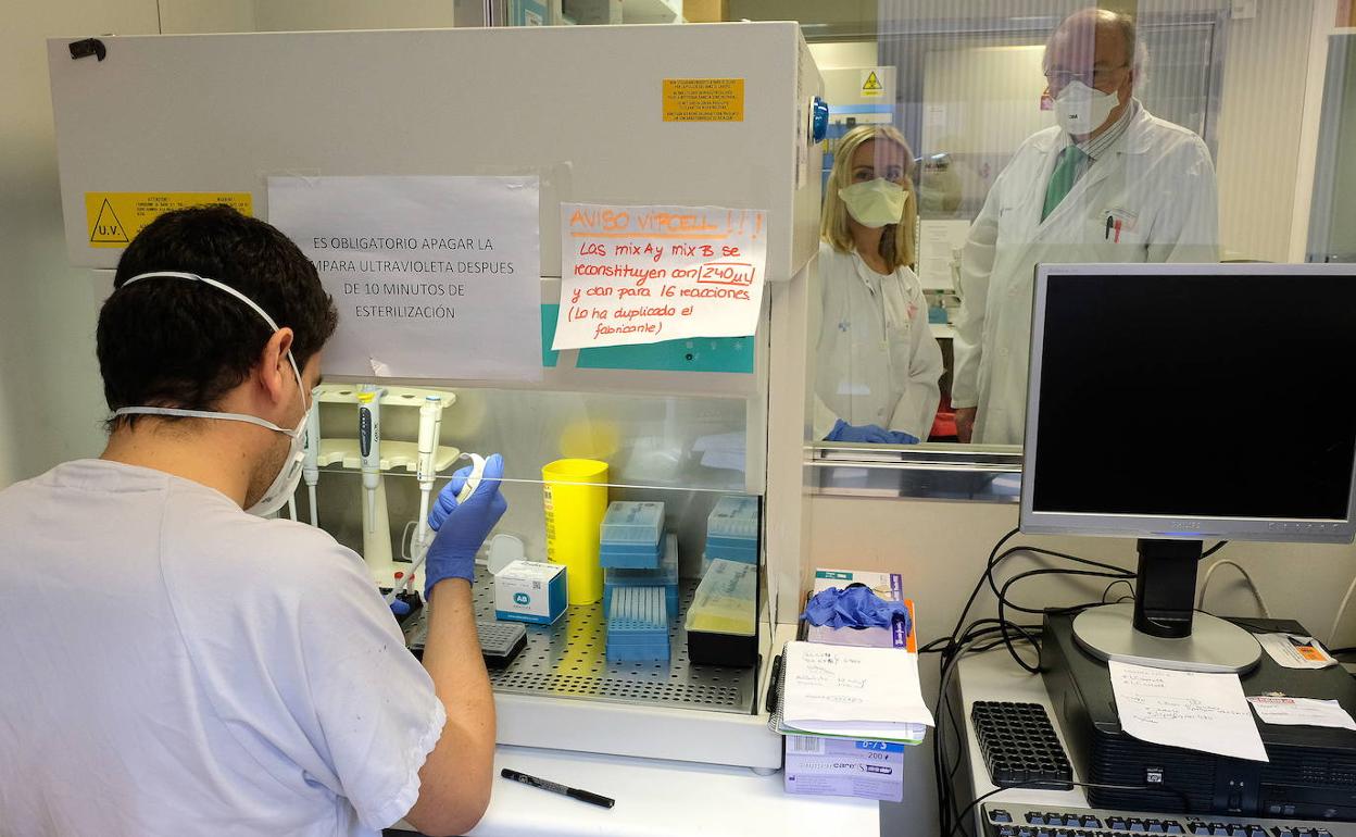 Laboratorio de Microbiología del Clínico de Valladolid. 